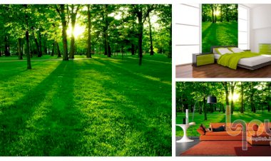 Bí kíp hô biến những bức tường cũ trở nên sinh động hơn