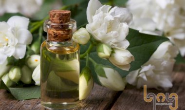 Mẹo khử mùi hôi nhà bếp bằng tinh dầu