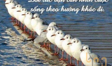 Câu chuyện hay về ý nghĩa cuộc sống