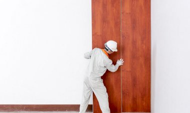 Lựa chọn tấm nhựa ốp tường như thế nào?
