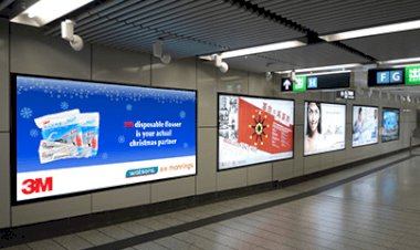 Ưu, nhược điểm của hộp đèn 3M bạn cần biết trước khi lựa chọn