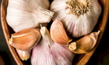 Ngạc nhiên với 5 lợi ích của tỏi đối với sức khỏe