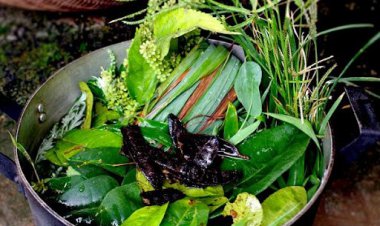 Mách bạn cách xông trị cảm đơn giản tại nhà