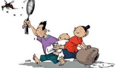 Nhớ ngay 4 cách phòng sốt xuất huyết để bảo vệ sức khỏe tốt nhất