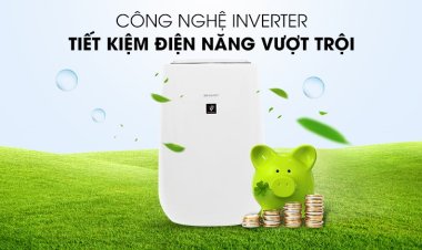 6 Ưu điểm không thể bỏ lỡ của máy lọc không khí