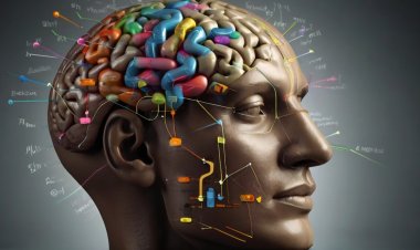 Kỹ năng luyện tập não bộ -Chìa khóa nâng cao hiệu suất và tập trung