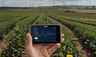 Triển khai LoRa trong hệ thống nông nghiệp thông minh