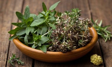 Lợi ích của việc sử dụng thảo dược trong chăm sóc sức khỏe