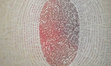 Vai trò của sinh trắc học trong việc bảo vệ quyền cá nhân