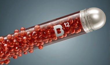 Thiếu Vitamin B12: Nguy Cơ Sức Khỏe Bạn Không Thể Bỏ Qua!