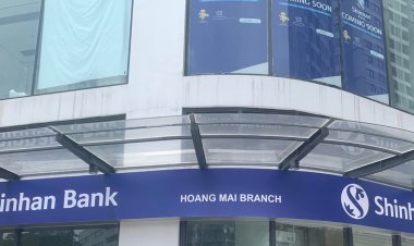 Làm sao để in trên decal 3M không bị lỗi màu?