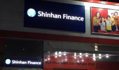 Decal 3M có thể kể câu chuyện thương hiệu của bạn như thế nào?