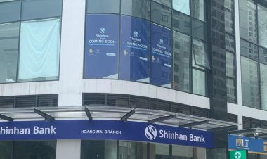 Ứng dụng decal 3M cực hay trong thiết kế bảng hiệu hiện đại