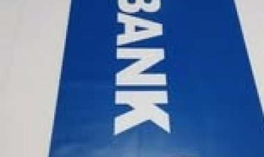 Mẹo tiết kiệm chi phí khi in trên decal 3M số lượng lớn