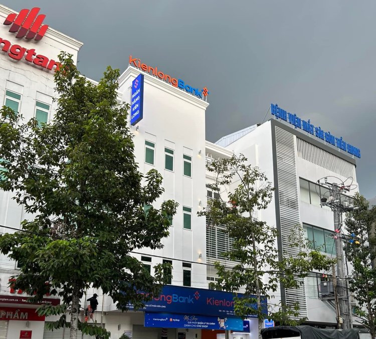Kết hợp linh hoạt, sáng tạo không giới hạn cùng decal 3M