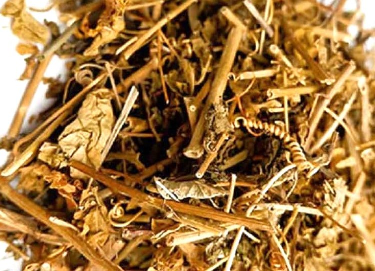 Ngủ ngon không khó vì đã có cây lạc tiên