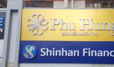 Những thiết kế sáng tạo khi in trên decal 3M cho quảng cáo