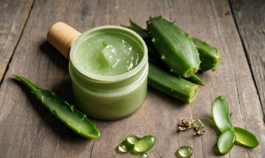 Mặt nạ từ nha đam – Bí quyết dưỡng da căng mướt, sáng bừng sức sống!