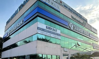 Tại sao decal 3M lại có giá cao hơn các loại decal khác?