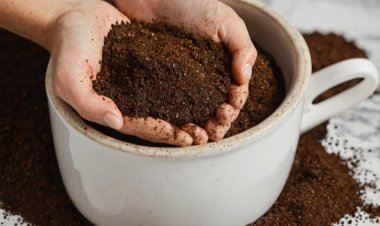 Tẩy tế bào chết từ cà phê đơn giản tại nhà