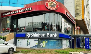 Decal 3M đang chiếm lĩnh thị trường biển hiệu như thế nào? 