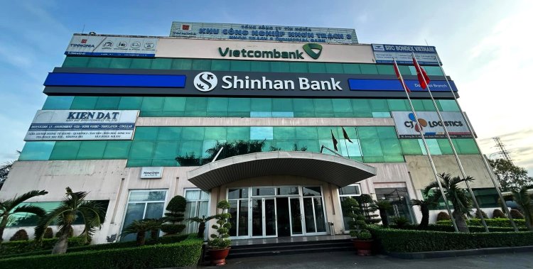 Từ showroom đến chuỗi cửa hàng Decal 3M xuất hiện ở mọi nơi.